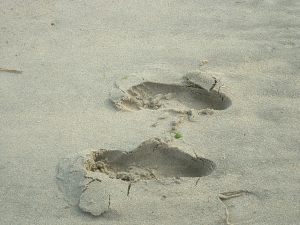 Footsteps in the Sand.  